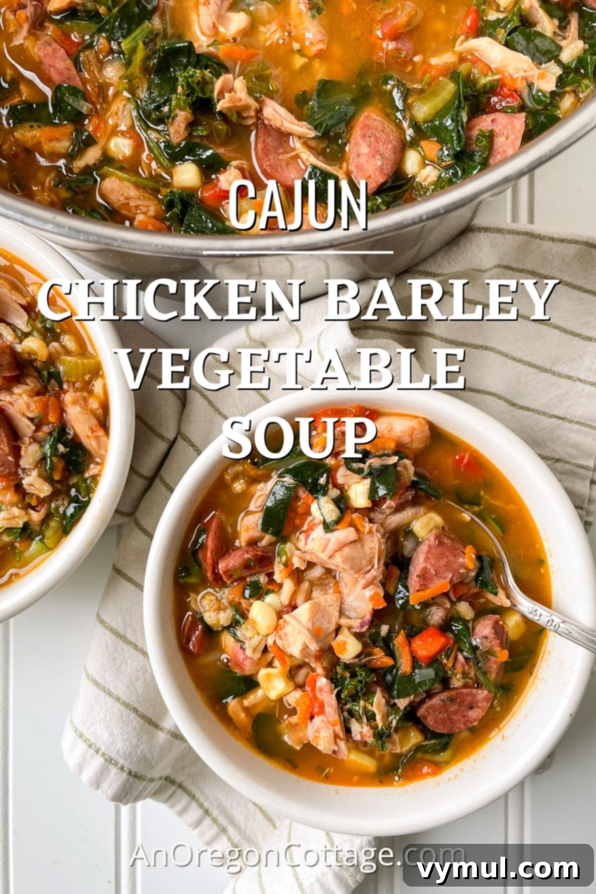 Quick Cajun Chicken Barley Harvest Soup 2 Cajun chicken barley vegetable soup above