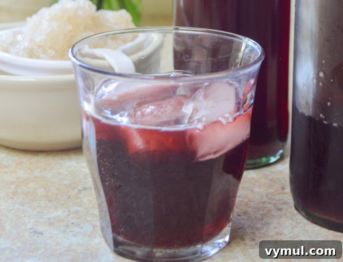 Homemade Water Kefir Made Easy 12 Flavored water kefir served in a glass