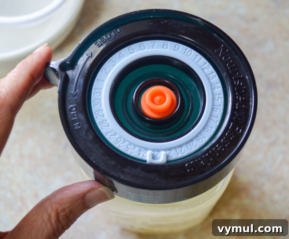 Homemade Water Kefir Made Easy 6 Setting a fermenting lid on a jar of water kefir