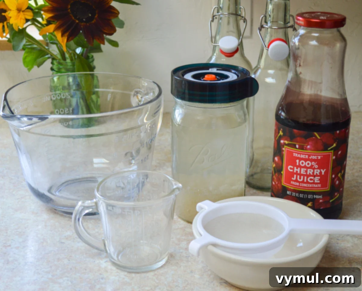Homemade Water Kefir Made Easy 8 Supplies for the second ferment of water kefir, including bottles and juice