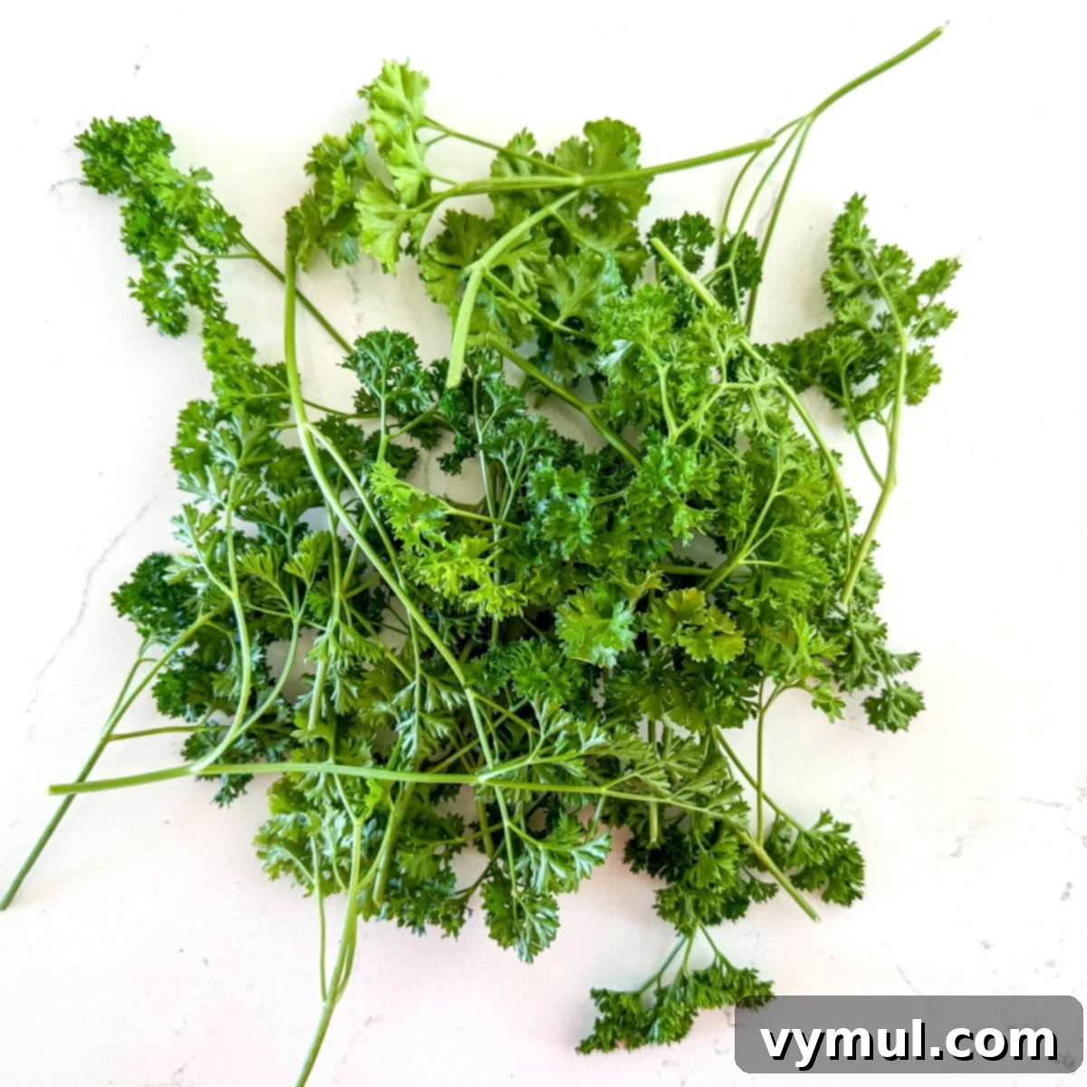 Drying Parsley Made Simple Oven Dehydrator Air 3 bunch of curly parsley on a white counter