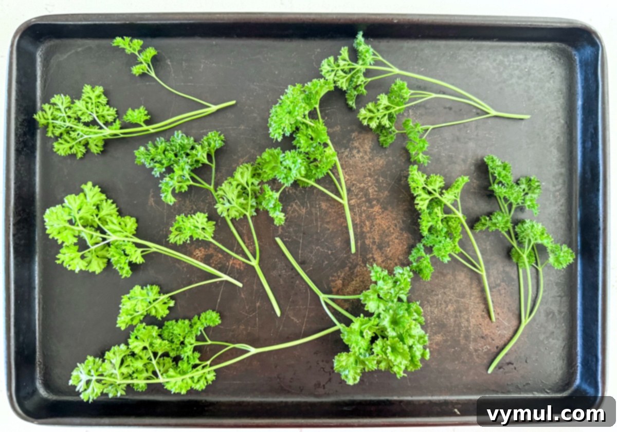 Drying Parsley Made Simple Oven Dehydrator Air 5 fresh parsley sprigs on baking sheet