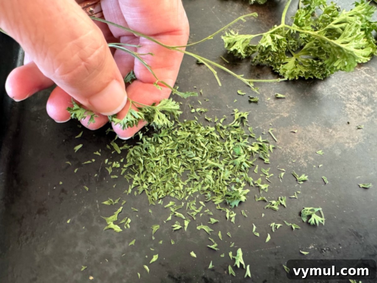 Drying Parsley Made Simple Oven Dehydrator Air 6 removing oven dried parsley leaves from stems