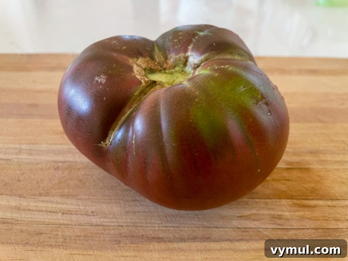 The season's first large ripe heirloom tomato, a 'Cherokee Purple,' showcasing its rich, dark hue.