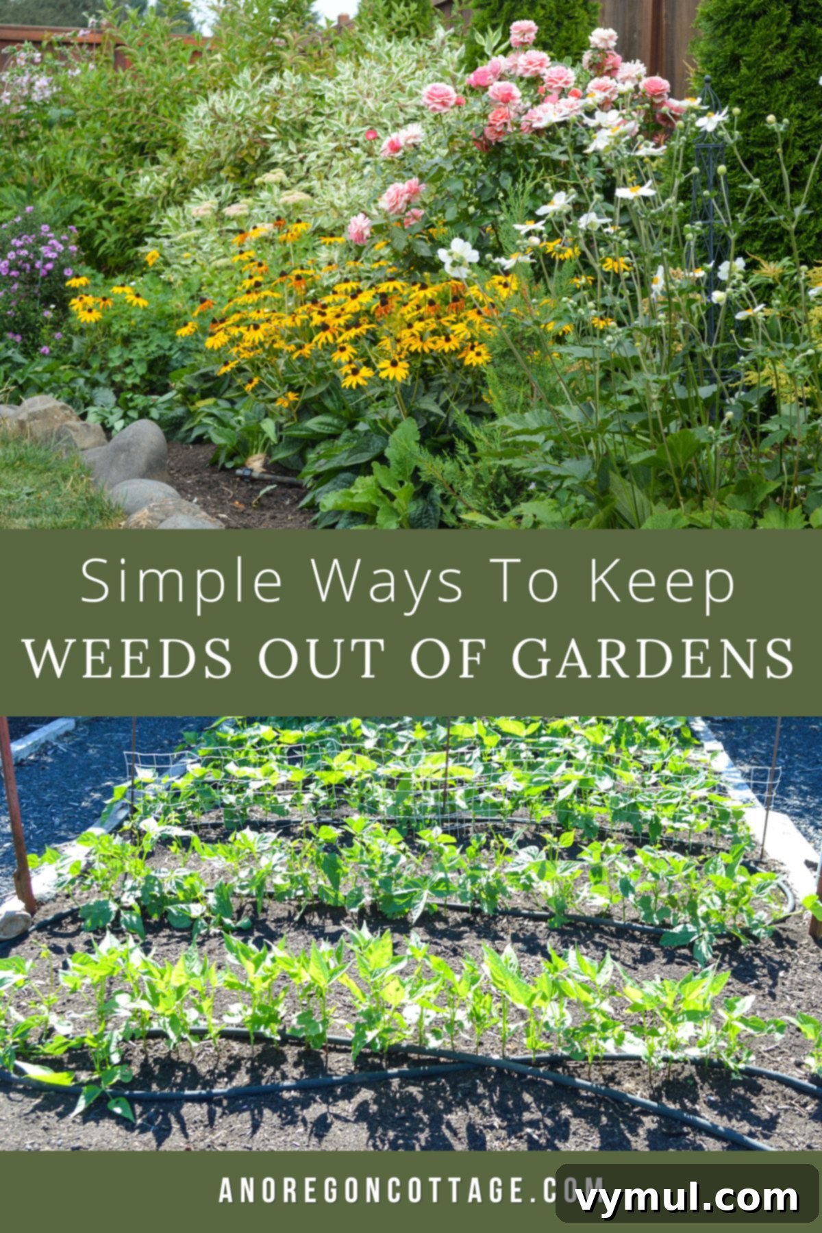 The Organic Gardener's Guide to a Weed-Free Paradise 8 keep weeds out of both flower and vegetable beds easily