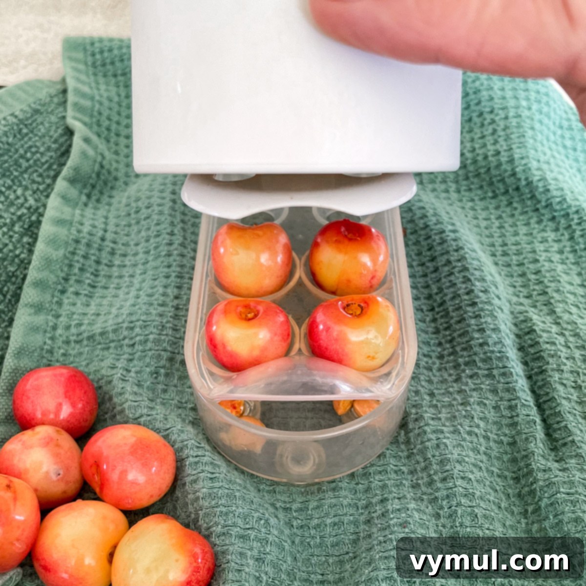 Sweet Cherry, Feta & Walnut Medley 5 pitting cherries with manual 4-slot pitter