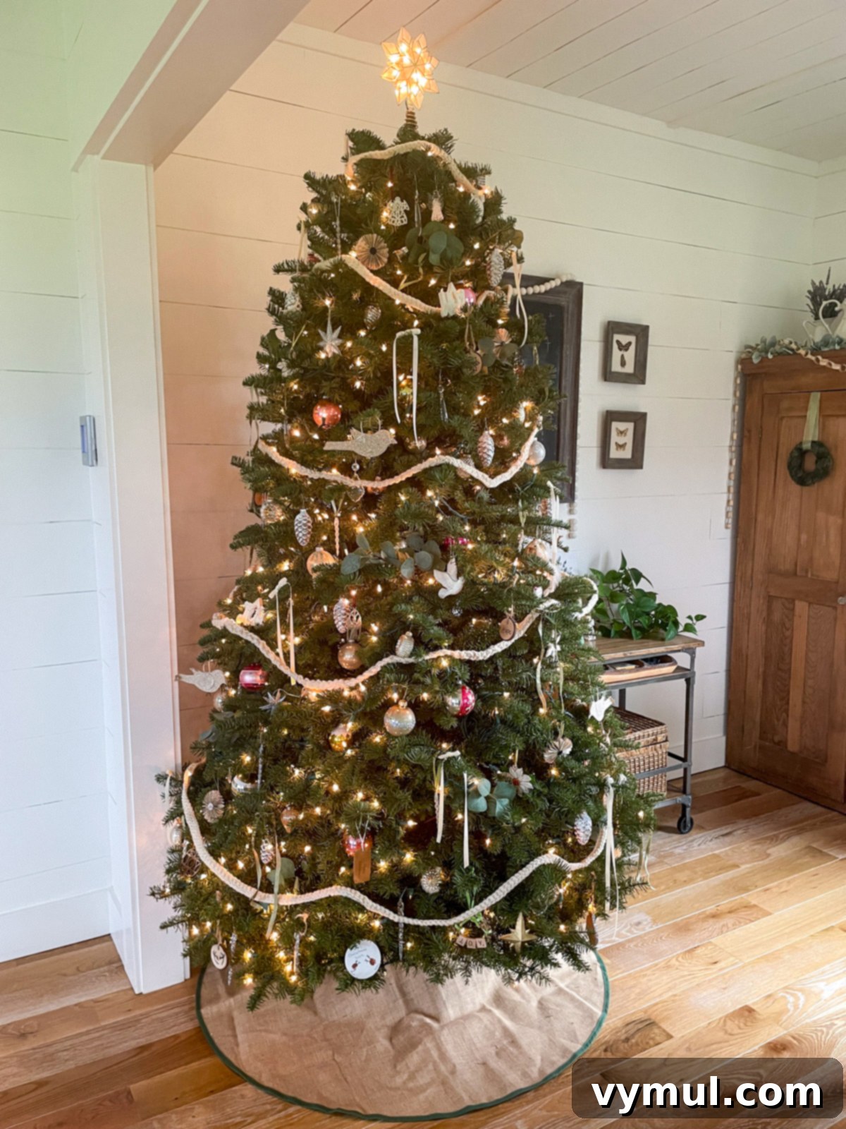 Noble Fir Tree decorated for Christmas