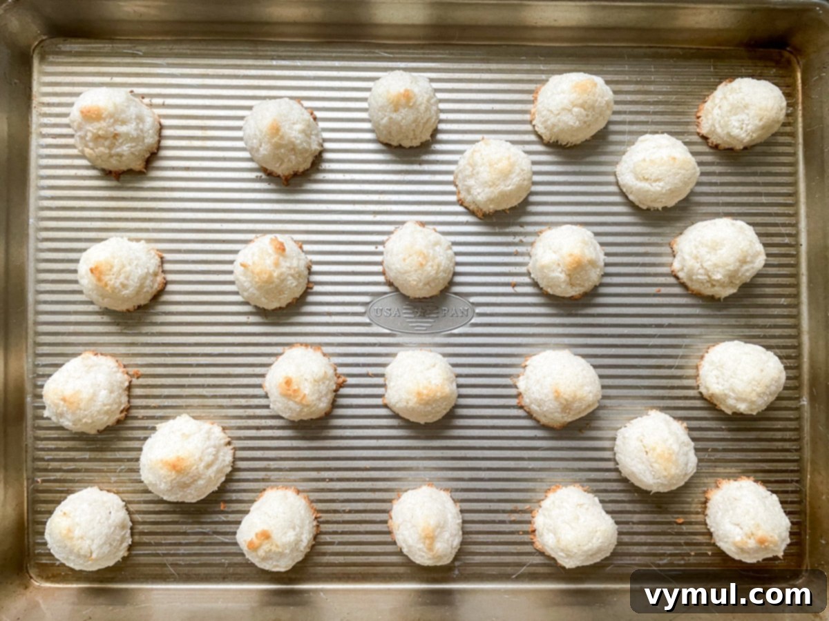 Effortless Coconut Macaroons No Flour No Condensed Milk 5 Freshly baked golden-brown coconut macaroons cooling on a baking sheet, showcasing their perfect texture and slightly toasted tops.