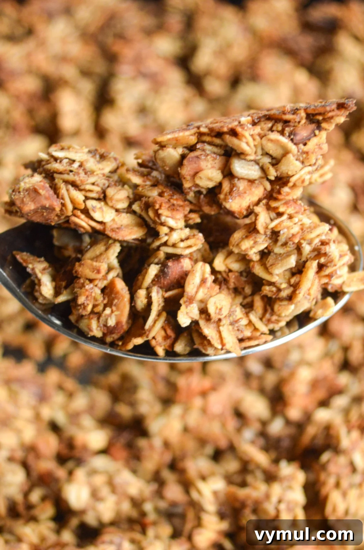 Healthy Quick Maple Honey Granola Bark Clusters 3 Close-up of maple honey granola clusters on a spoon, highlighting the texture and richness.