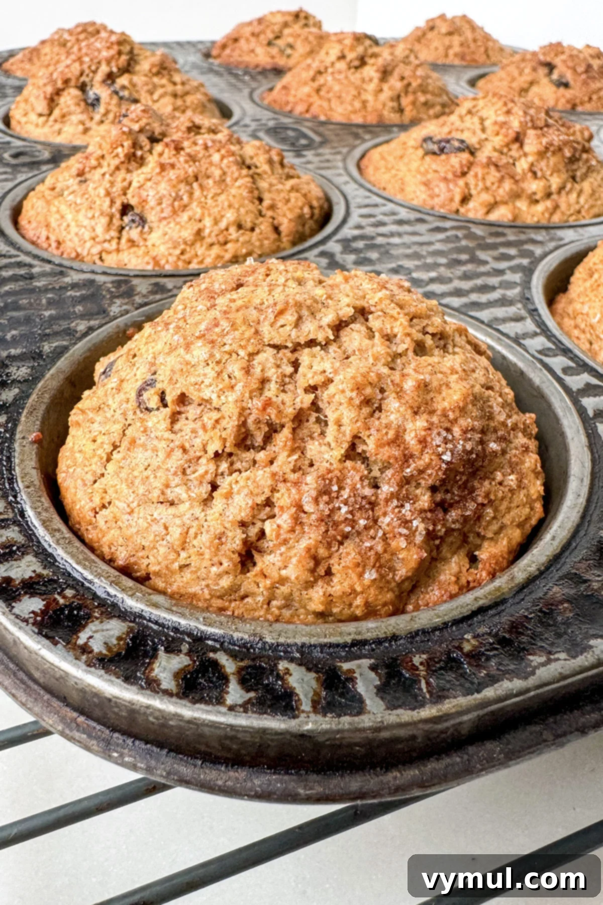 freshly baked bran muffins in tin