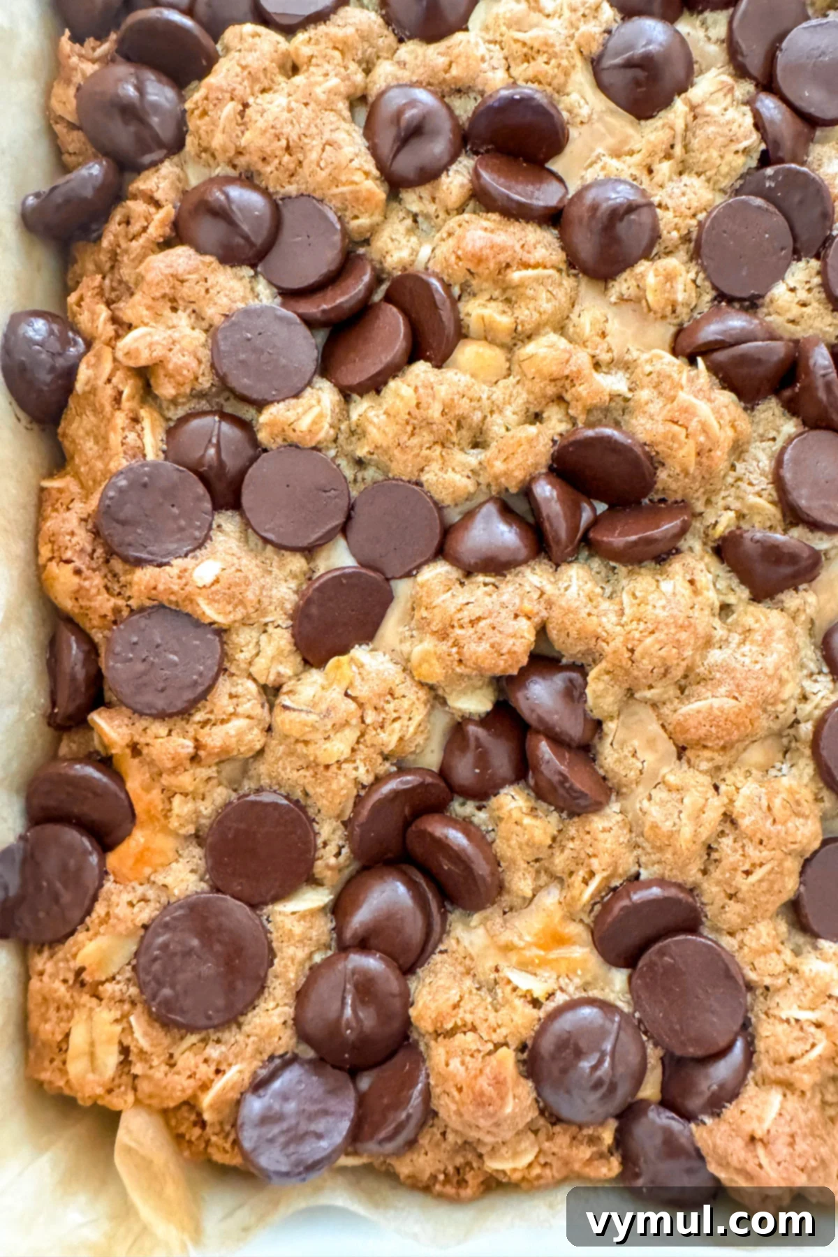 Close-up of freshly baked peanut butter oatmeal bars with chocolate chips in a baking pan, seen from above.