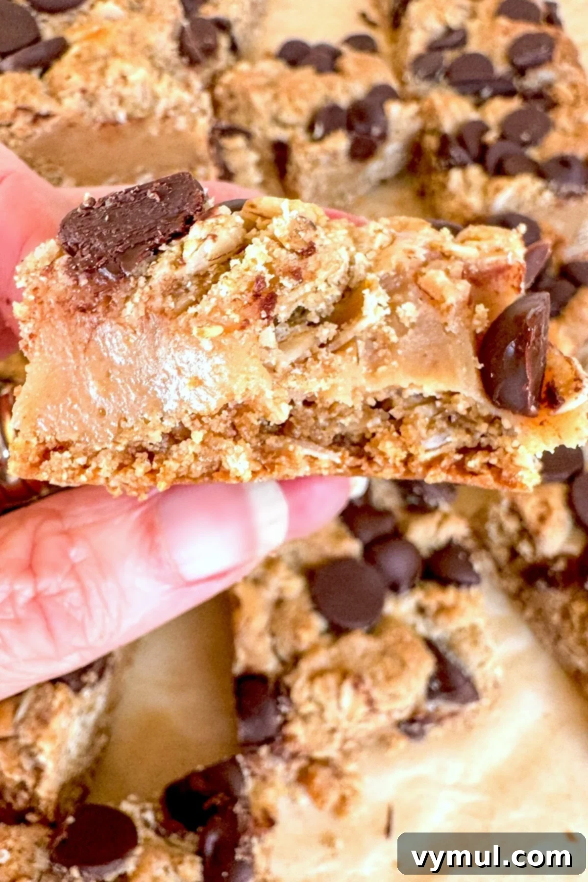 A close-up view of the cross-section of a peanut butter oatmeal bar, showing the distinct layers of oat crust, creamy peanut butter filling, and chocolate chips.