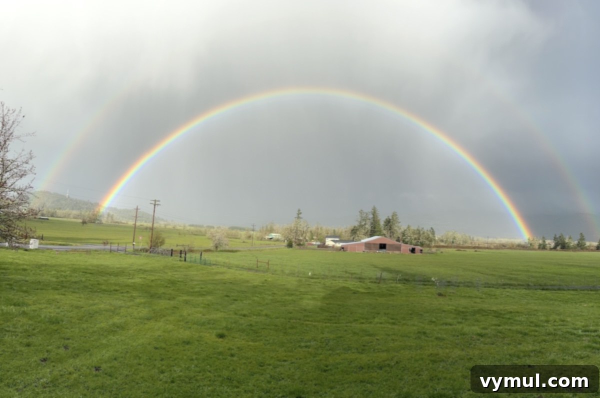 71 Good Things: Orchard Tips, Vintage Kitchen Inspiration, and Six Must-Read Books 3 full rainbow over pasture and barn