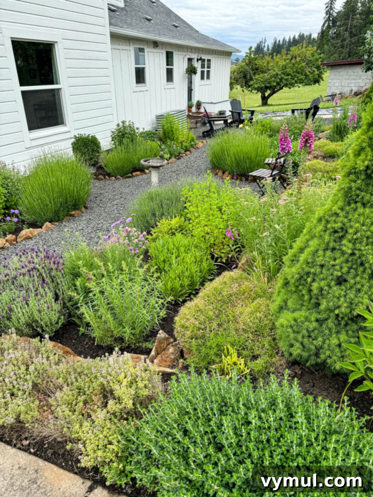 June Essentials: Garden Joy, Healthy Home Hacks, Natural Cleaning, and Our Favorite Books 3 Lush growth of a sunken garden in June planted with deer resistant herbs and flowers.