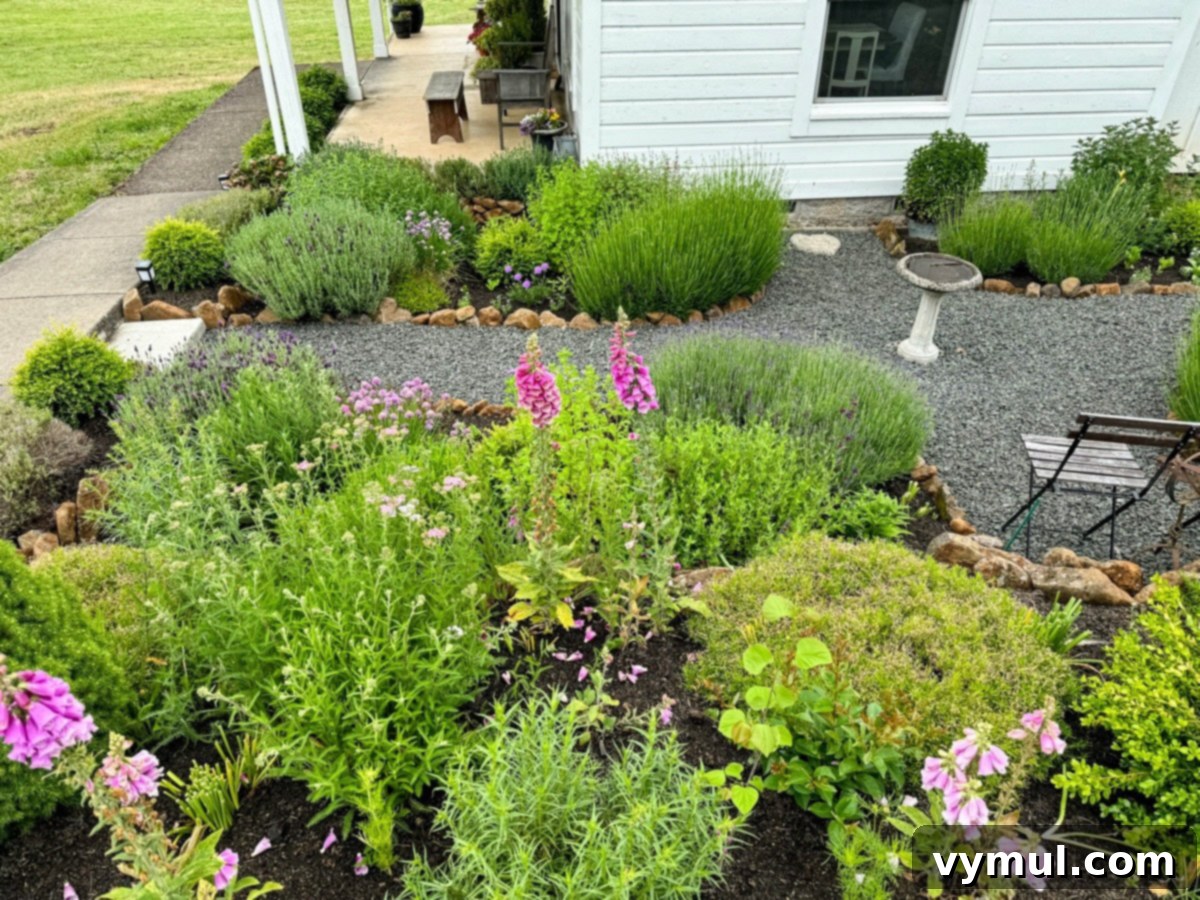 June Essentials: Garden Joy, Healthy Home Hacks, Natural Cleaning, and Our Favorite Books 4 section of garden from above