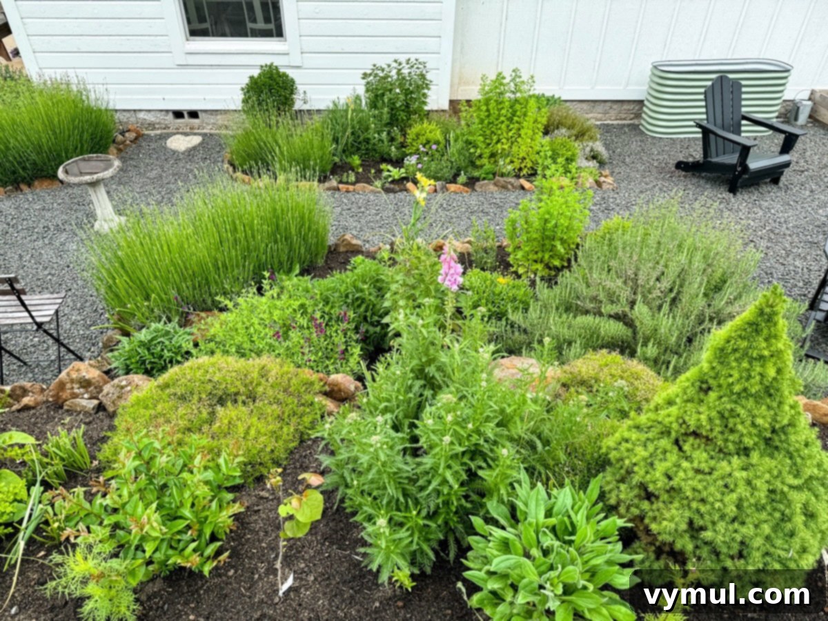 June Essentials: Garden Joy, Healthy Home Hacks, Natural Cleaning, and Our Favorite Books 5 herb filled section of June garden from above