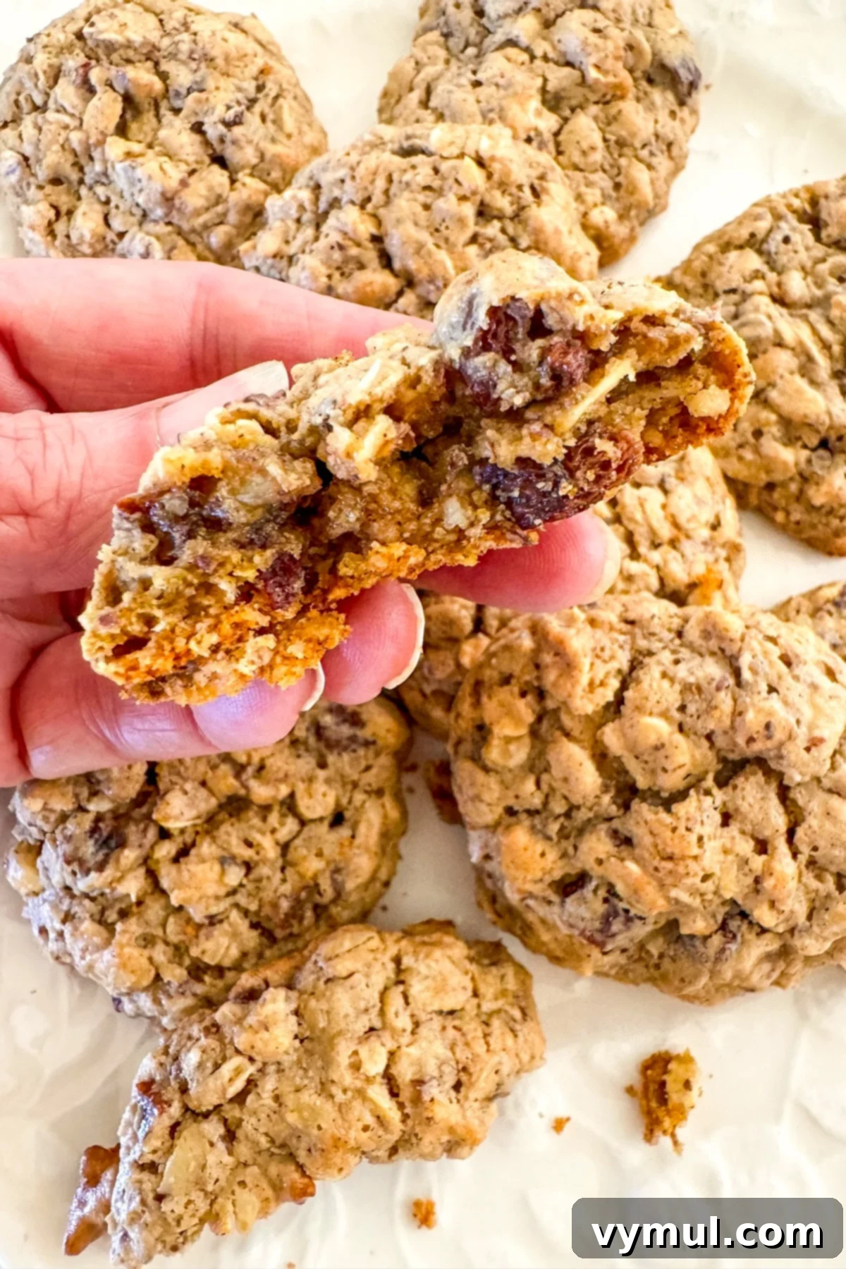 holding piece of trail mix cookie