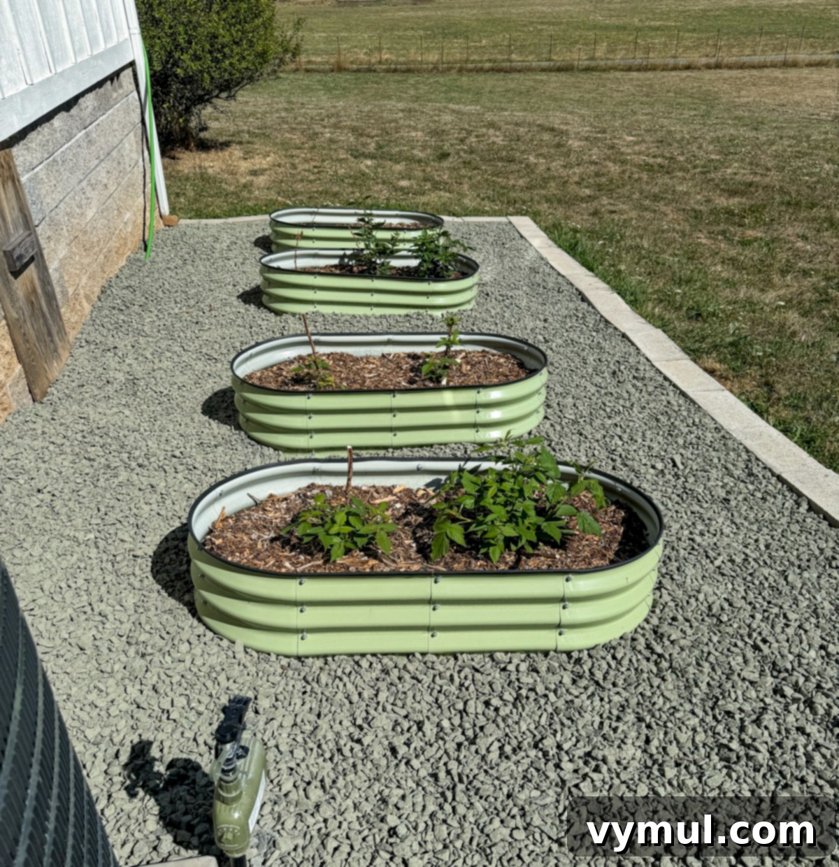 Good Things Lately 76 Garden Wisdom Harvest Joys Kitchen Wins and Reading Picks 5 metal beds surrounded by gravel