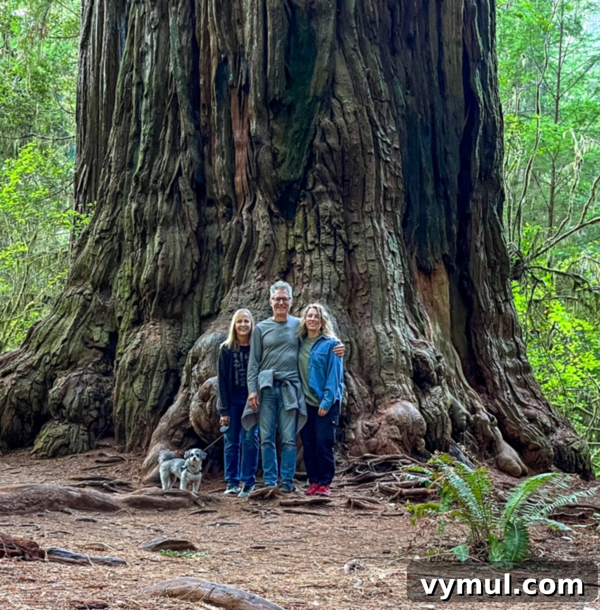 Entry 77: Crescent City Explorations, Barn Makeover, Preserved Victories, Recent Reads & Beyond 6 family picture in front of giant redwood tree