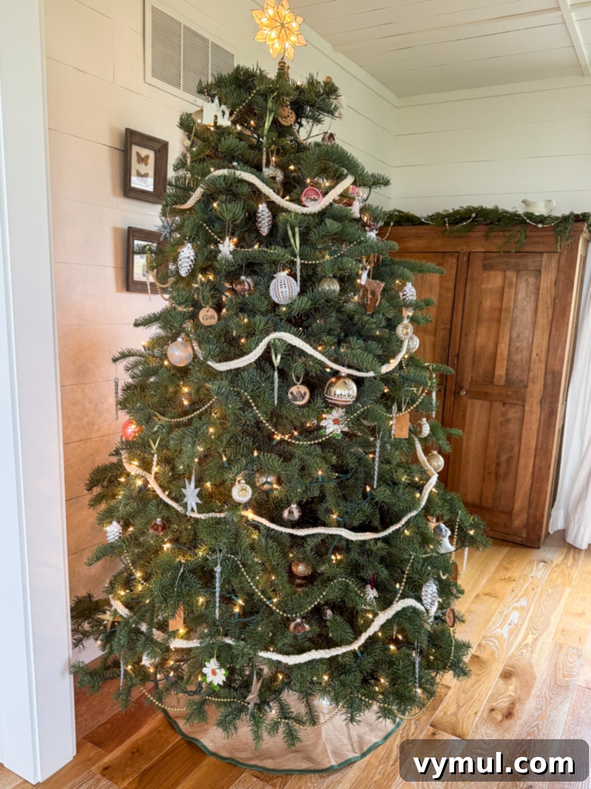 2024 decorated live Christmas tree