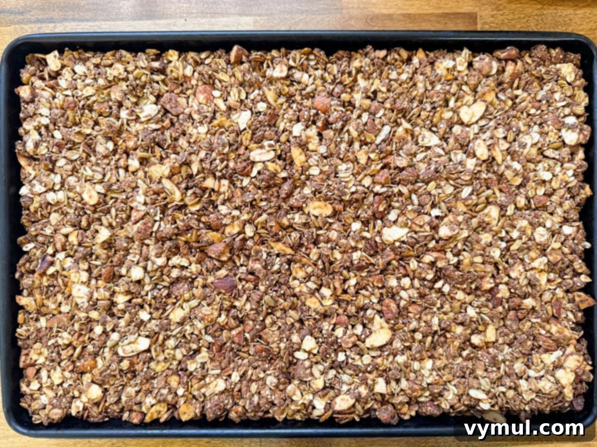 Baked high protein granola in the pan, golden brown and crisp, directly from an overhead shot.