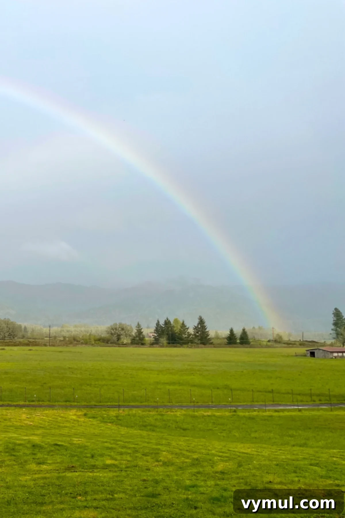 2024 Review, 2025 Vision 2 rainbow over green pasture, symbolizing hope and new beginnings for 2025 goals