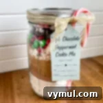 Triple Chocolate Peppermint Cookie Jar Mix with Printable Tags 7 chocolate peppermint cookie mix in jar with tag