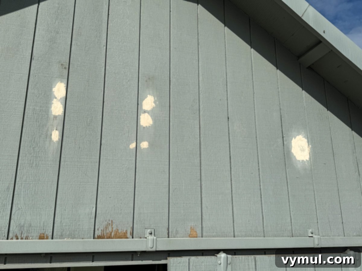 Effortless Barn Exterior Update 12 filling and caulking holes on the barn exterior