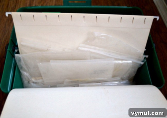 Kış Bahçeciliği: Tohum Düzeni ve Kolay Saklama Yöntemleri 6 Clear baggies holding various types of organized seeds within the filing system