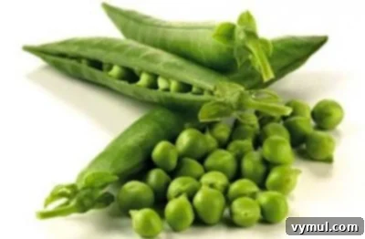 Kış Bahçeciliği: Tohum Düzeni ve Kolay Saklama Yöntemleri 9 Early Frosty Pea pods, showing plump peas inside