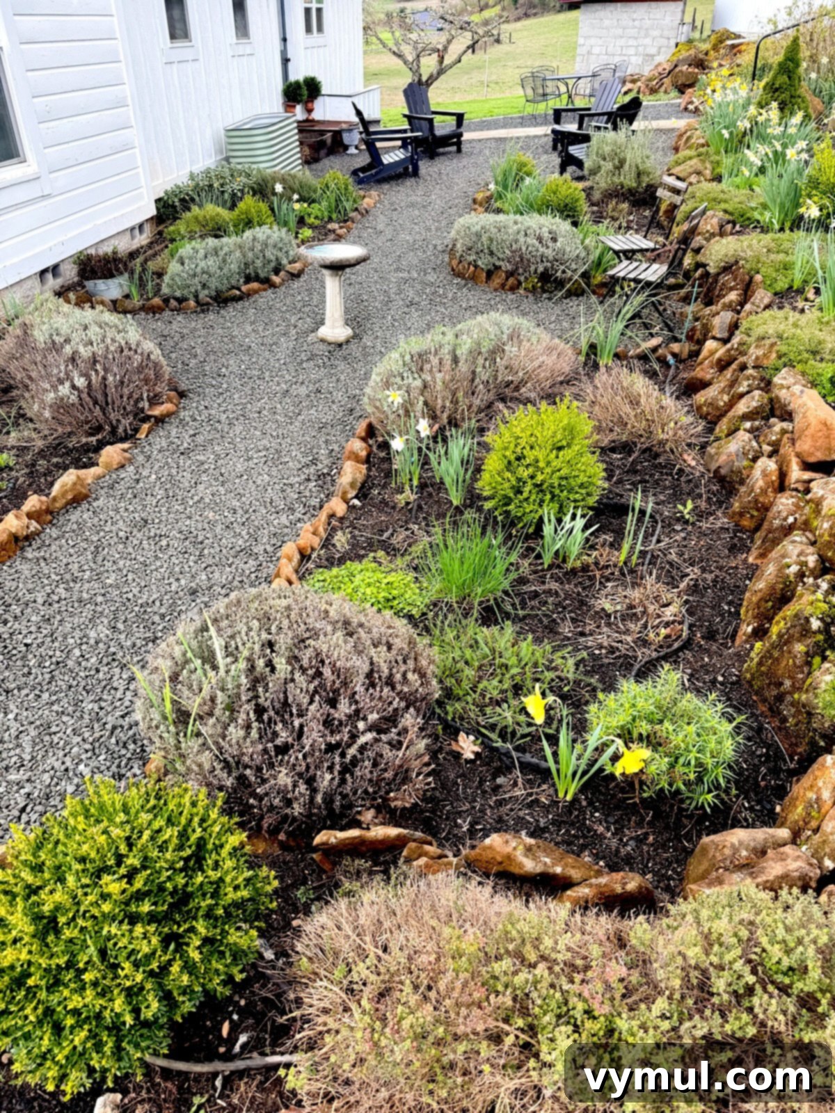 83 Good Things: Spring Garden, Favorite Skillet, Berry Patch, and New Reads 4 Early spring deer-resistant herb and flower garden with gravel paths and rock-lined raised beds, showing new growth.