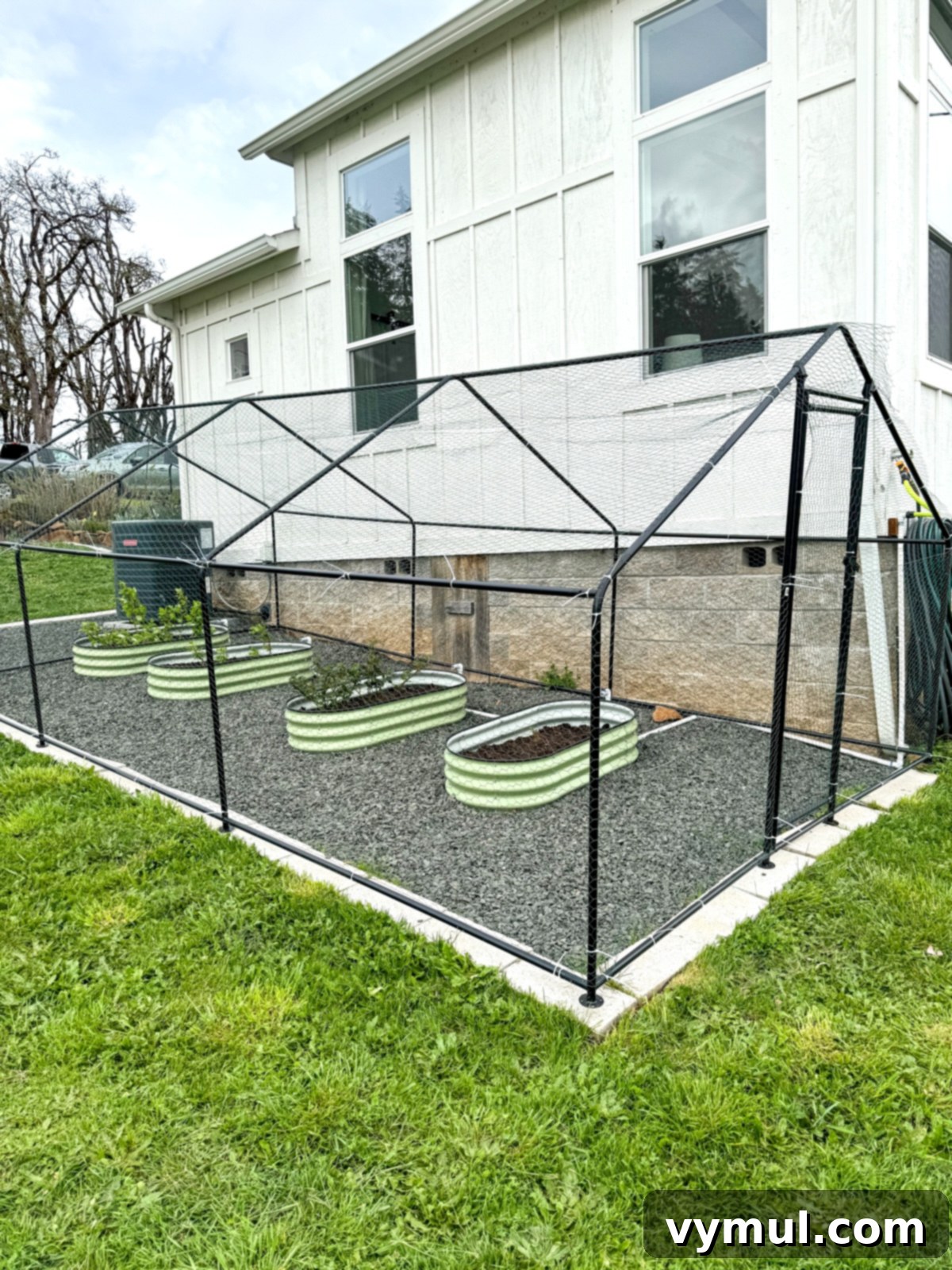 83 Good Things: Spring Garden, Favorite Skillet, Berry Patch, and New Reads 6 Metal raised berry beds covered entirely by a large wire chicken run for ultimate deer and bird protection.