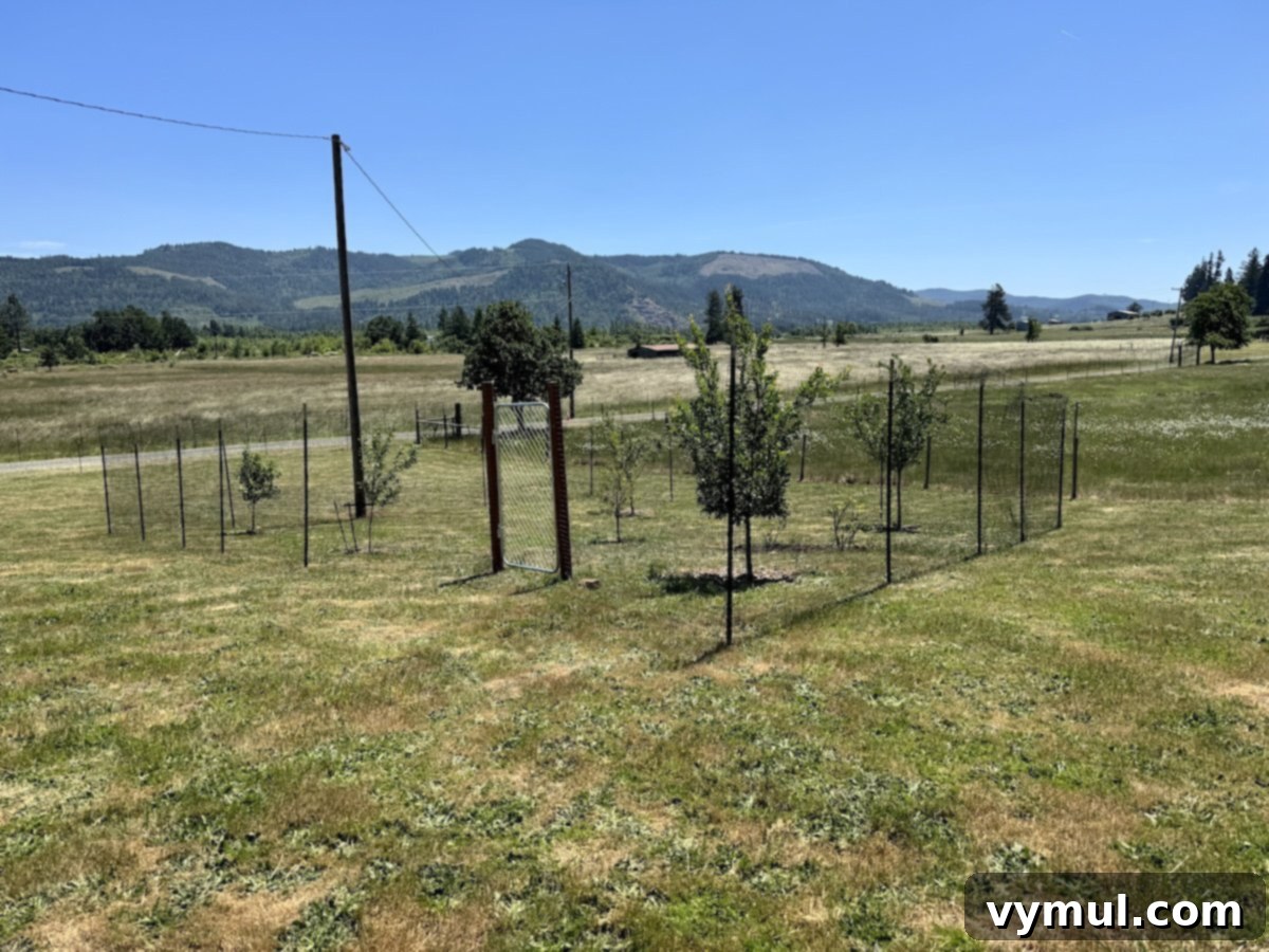 deer fencing around fruit trees