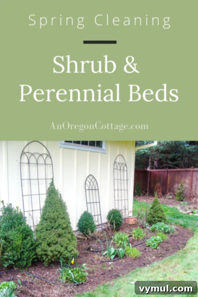 Spring Garden Cleanup and Weeding Guide 2 spring cleaning shrub-perennial beds
