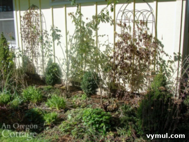 Spring Garden Cleanup and Weeding Guide 4 trellis-bed-before spring clean up