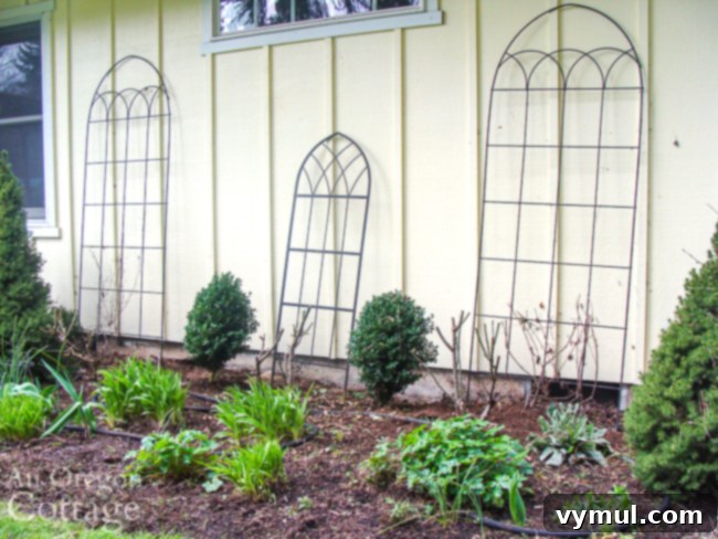 Spring Garden Cleanup and Weeding Guide 5 trellis-bed-after spring clean up