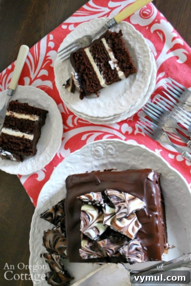 Decadent Triple Chocolate Cake with Silky Ganache and Crunchy Chocolate Shards 2 Serving Triple Chocolate Cake with Bark Topping