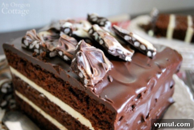 Decadent Triple Chocolate Cake with Silky Ganache and Crunchy Chocolate Shards 3 Triple Chocolate Cake Crispy Bark Topping up close