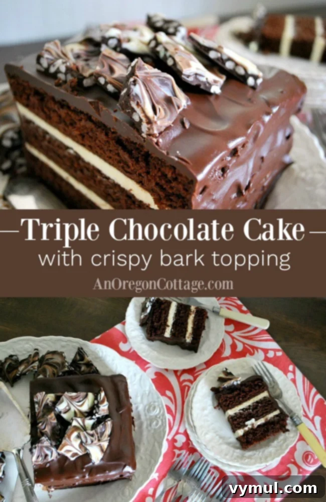 Decadent Triple Chocolate Cake with Silky Ganache and Crunchy Chocolate Shards 6 Triple Chocolate Cake Crispy Bark Topping