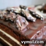 Decadent Triple Chocolate Cake with Silky Ganache and Crunchy Chocolate Shards 7 Triple Chocolate Cake Crispy Bark Topping up close