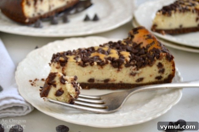Foolproof Chocolate Chip Cheesecake bite