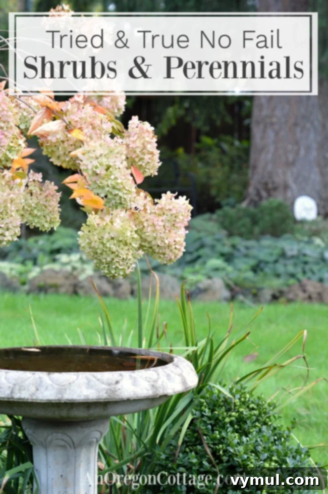 Simple Beauty: Durable Shrubs and Perennials 2 Tried and true no fail shrubs and perennials for low maintenance gardening