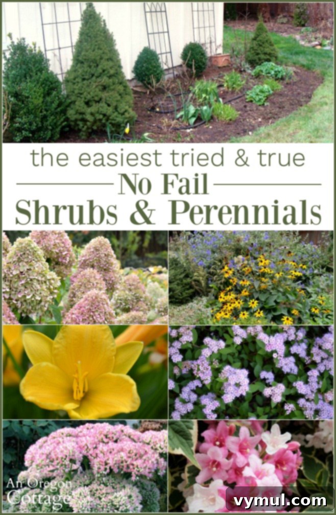 Simple Beauty: Durable Shrubs and Perennials 16 Easiest tried-true no fail shrubs and perennials for a beautiful low maintenance landscape