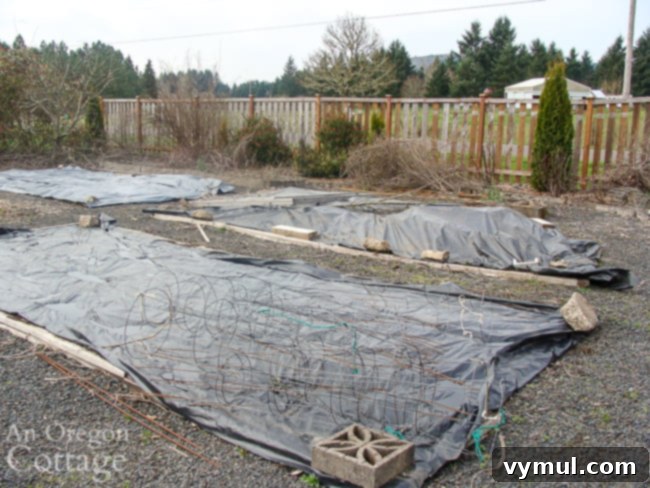 Kickstarting Your March Vegetable Garden: Plan Prepare Plant 8 A view of an early spring garden with black plastic weed barriers covering vegetable beds and piles of trimmings.