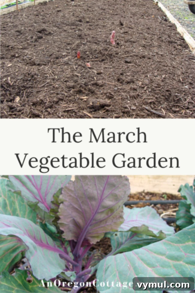 Kickstarting Your March Vegetable Garden: Plan Prepare Plant 10 A beautifully established March vegetable garden with raised beds and vibrant spring greens.