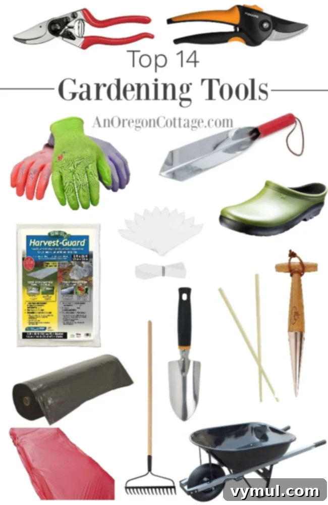 14 Key Tools for Garden Success 2 top gardening tools