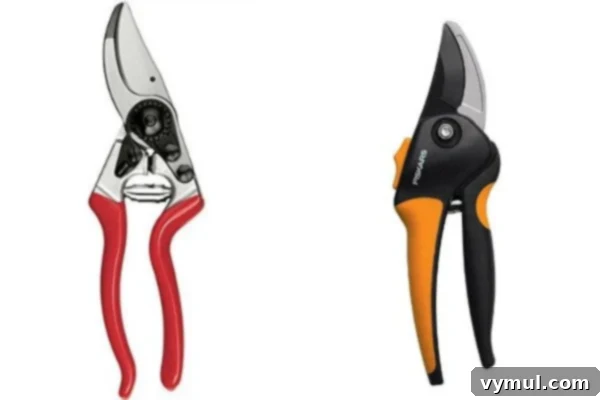 14 Key Tools for Garden Success 6 garden pruners