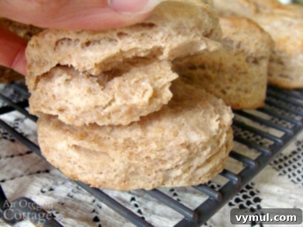 Amazing Whole wheat flaky biscuits