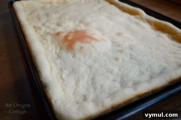 Baked Quick Homemade Pizza Dough