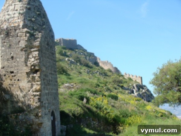 Greece's Wild Blooms 2 Ancient castle ruin overlooking the Bay of Corinth, with wildflowers in the foreground.